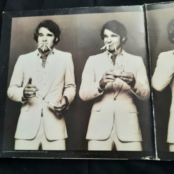 Steve Martin- Let's Get Small, Vinyl LP, 1977 - Picture 5 of 10